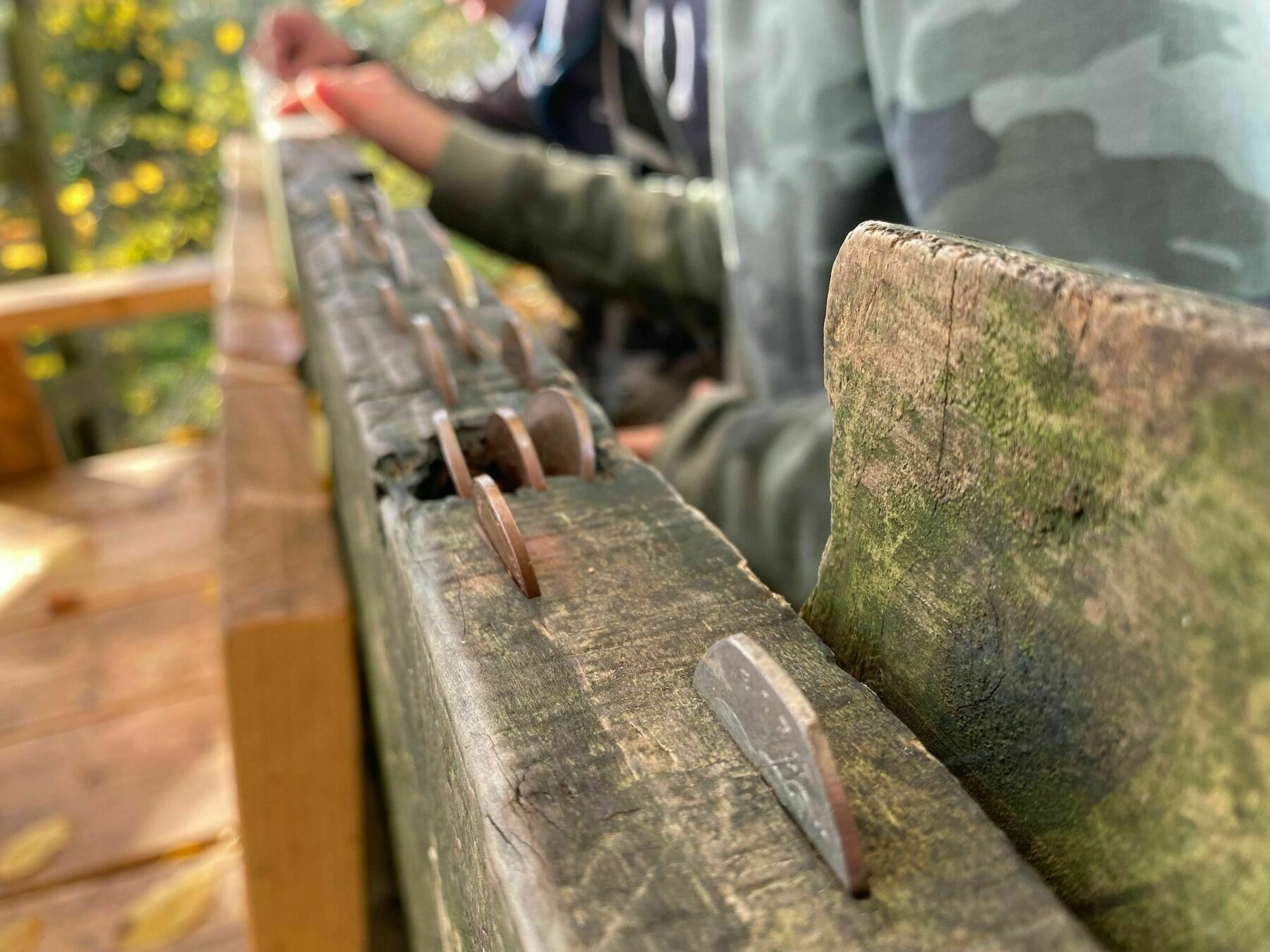 Coins in a bench